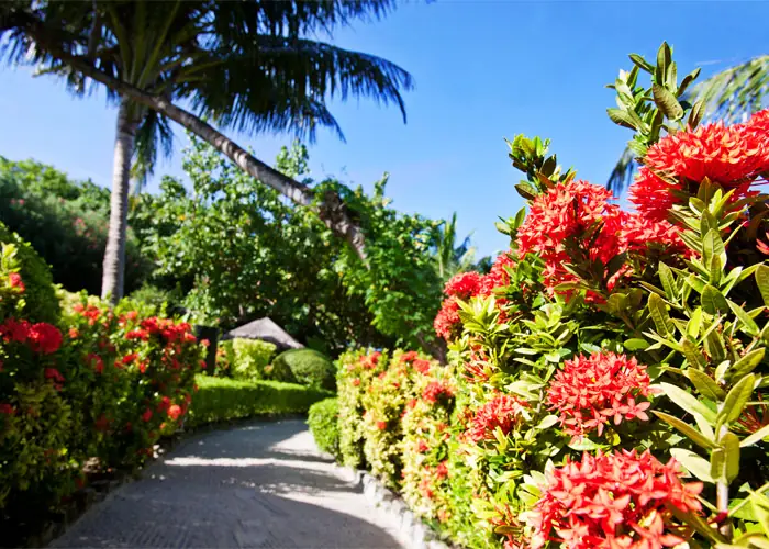 Adaaran Prestige Vadoo — resort grounds (photo 8 of 8)