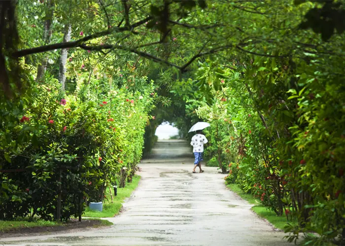 Adaaran Select Hudhuranfushi — территория курорта (фото 6 из 8)