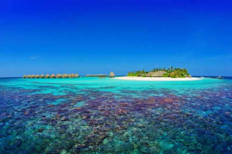 Angaga Island Resort and Spa — вид с высоты (фото 8 из 8)