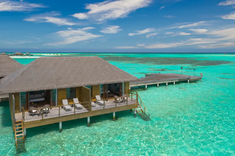 Cocoon Maldives — su üstü villalar (fotoğraf 3/8)