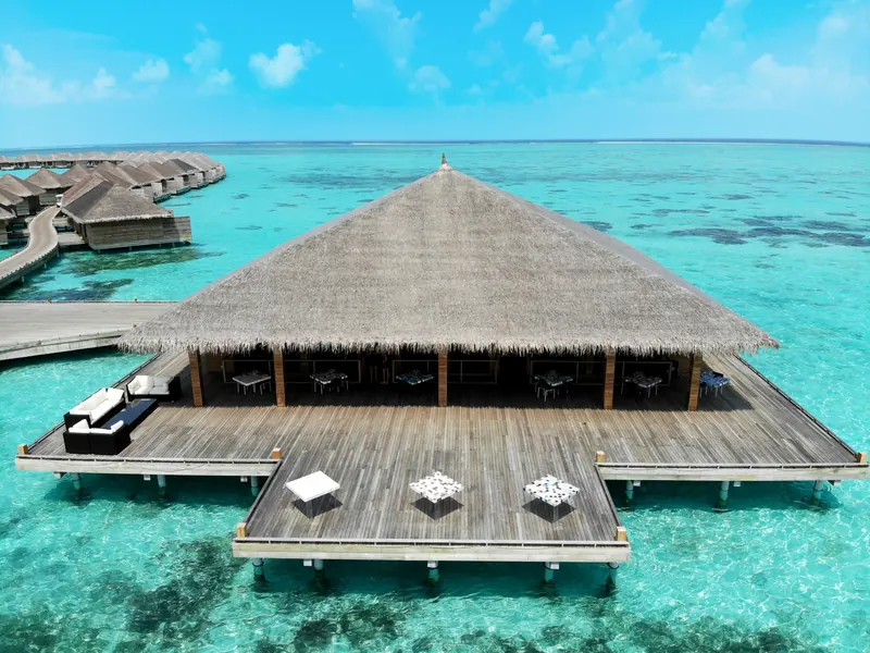 Cocoon Maldives — restoranlar (fotoğraf 6/8)