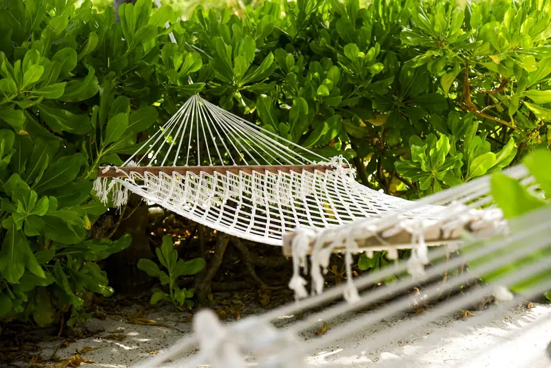 Constance Moofushi Resort — spiaggia (foto 2 di 8)