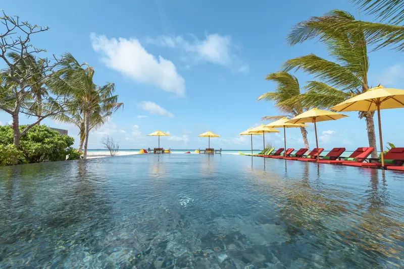 Dhigufaru Island Resort — pool (photo 5 of 8)