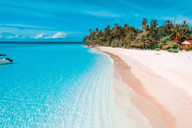 Diamonds Athuruga Beach & Water Villas — ชายหาด (ภาพที่ 3 จาก 8)