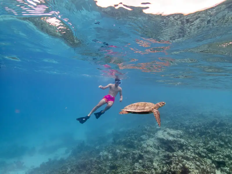 Eri Maldives – Hausriff (Foto 7 von 8)