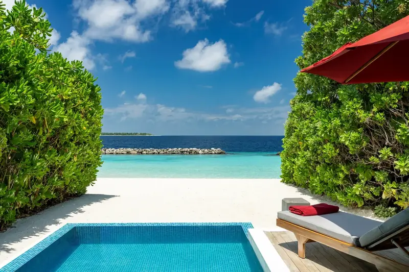 Niva Dhigali Maldives — бассейн (фото 2 из 8)