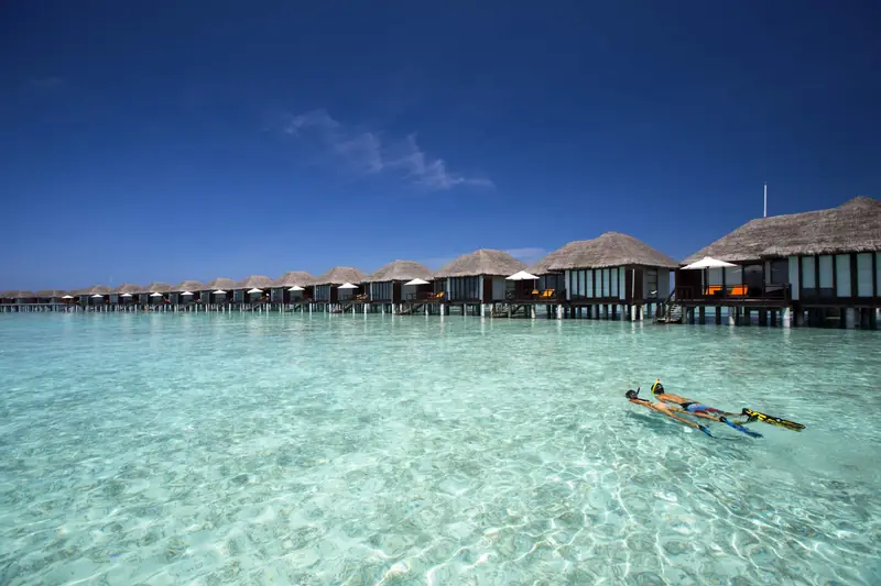 Niva Velassaru Maldives — house reef (photo 8 of 8)