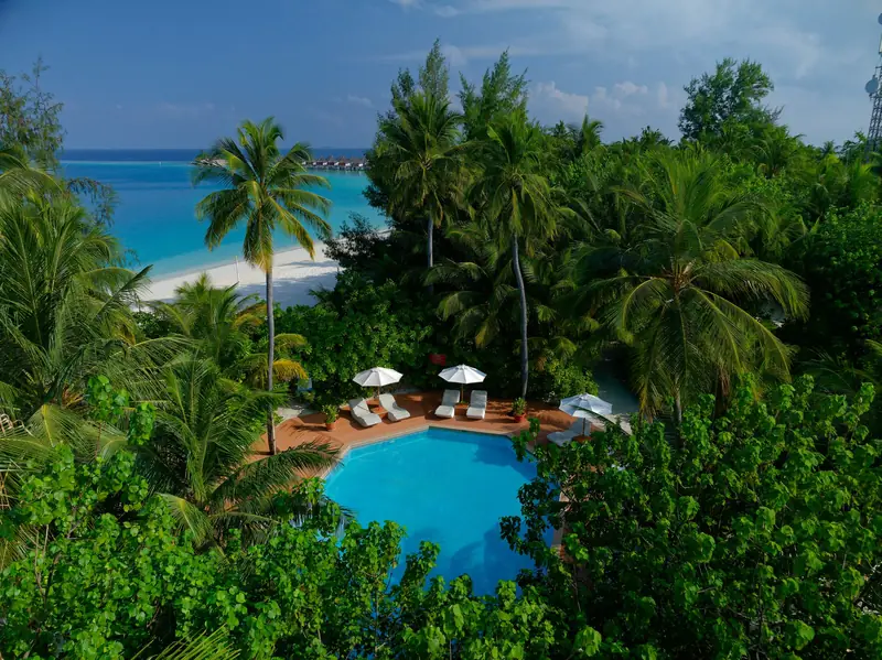 Safari Island Resort & Spa — 泳池(第 5 张,共 8 张)