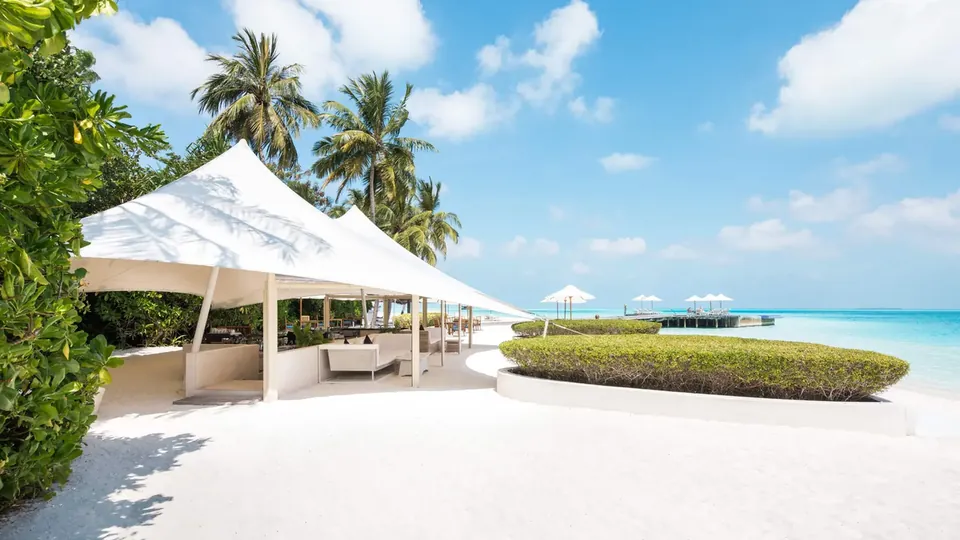 A white canopy on a sunny beach with palm trees and a turquoise sea