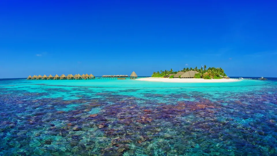 Uma ilha baixa com palmeiras, cercada por seu recife de coral em mar aberto