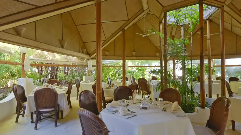 Tropikal bitkiler arasında öğle yemeği için hazırlanmış masalarıyla açık hava restoranı