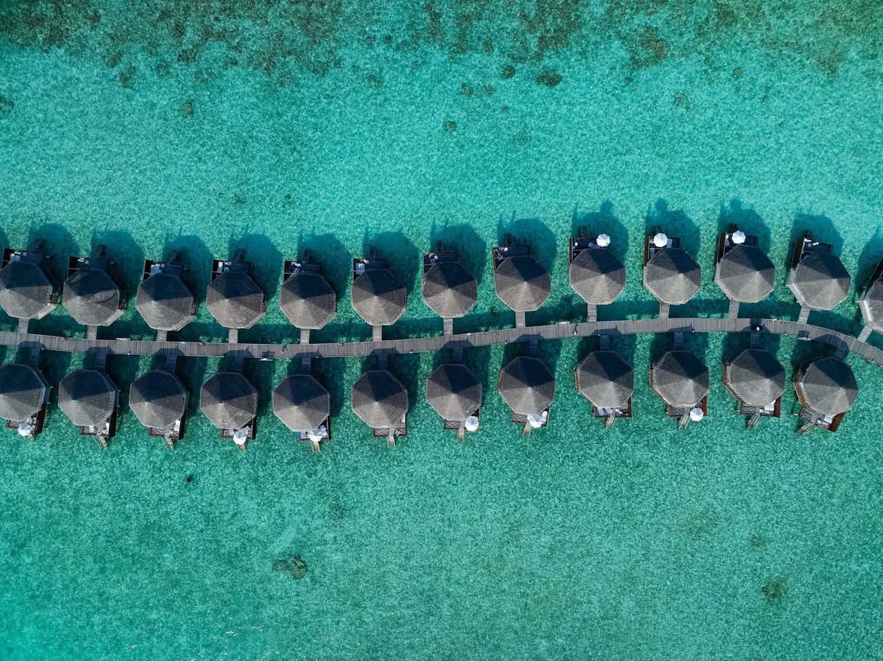 Safari Island Resort & Spa